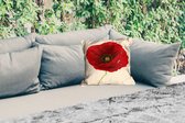 Coussin de jardin - Gros plan d'un coquelicot rouge - 40x40 cm - Résistant aux intempéries