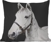 Sierkussen Buiten - Paard - Halster - Wit - 60x60 cm - Weerbestendig