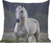 Sierkussen Buiten - Paard - Licht - Ochtend - 60x60 cm - Weerbestendig