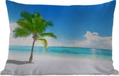 Buitenkussens - Palmboom - Strand - Zee - Zomer - 60x40 cm - Weerbestendig