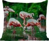 Sierkussen d'extérieur - Flamingo - Tropical - Vogel - Water - Rose - 60x60 cm - Résistant aux intempéries