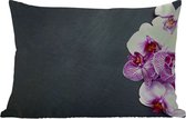 Buitenkussens - Tuin - Orchidee - Bloemen - Roze - Flora - 50x30 cm