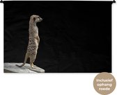 Tapisserie Animaux sur fond noir - Suricate devant fond noir Tapisserie coton 120x80 cm - Tapisserie avec photo