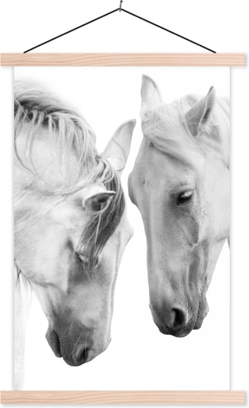 Posterhanger incl. Poster - Schoolplaat - Paard - Dieren - Portret - Wit - 60x90 cm - Blanke latten