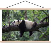 Posterhanger incl. Poster - Schoolplaat - Panda - Boom - Dieren - Natuur - 150x100 cm - Blanke latten