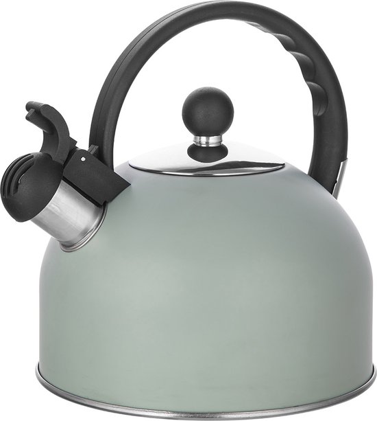 Altom Design Daily fluitketel RVS mat mint groen 2.5 Liter - kantelbare fluit - geschikt voor alle warmtebronnen - koud blijvend handvat