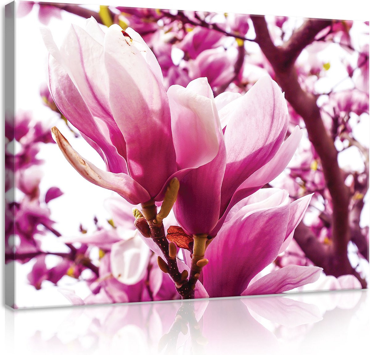 Canvas Schilderij - Roze Magnolia - Natuur - Planten - Wit - Roze - Bladeren - Schilderij Woonkamer - Schilderijen op canvas - Inclusief Frame - 100x75cm (LxB)