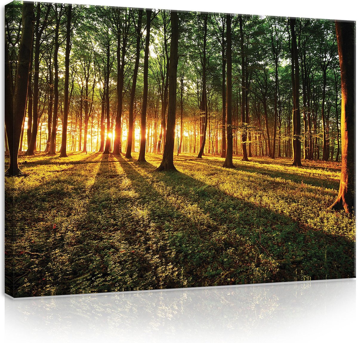 Canvas Schilderij - Zonnig bos - Natuur - Bos - Bomen - Planten - Bloemen - Groen - Schilderij Woonkamer - Schilderijen op canvas - Inclusief Frame - 100x75cm (LxB)