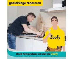 Gaslekkage repareren - Door Zoofy in samenwerking met Bol - Installatie-afspraak gepland binnen 1 werkdag