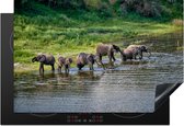 KitchenYeah® Inductie beschermer 77x51 cm - Olifanten in de rivier van het Nationaal park Makgadikgadi Pans - Kookplaataccessoires - Afdekplaat voor kookplaat - Inductiebeschermer - Inductiemat - Inductieplaat mat