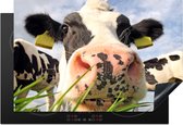 KitchenYeah® Inductie beschermer 78x52 cm - Koe - Boerderij - Gras - Dieren - Kookplaataccessoires - Afdekplaat voor kookplaat - Inductiebeschermer - Inductiemat - Inductieplaat mat
