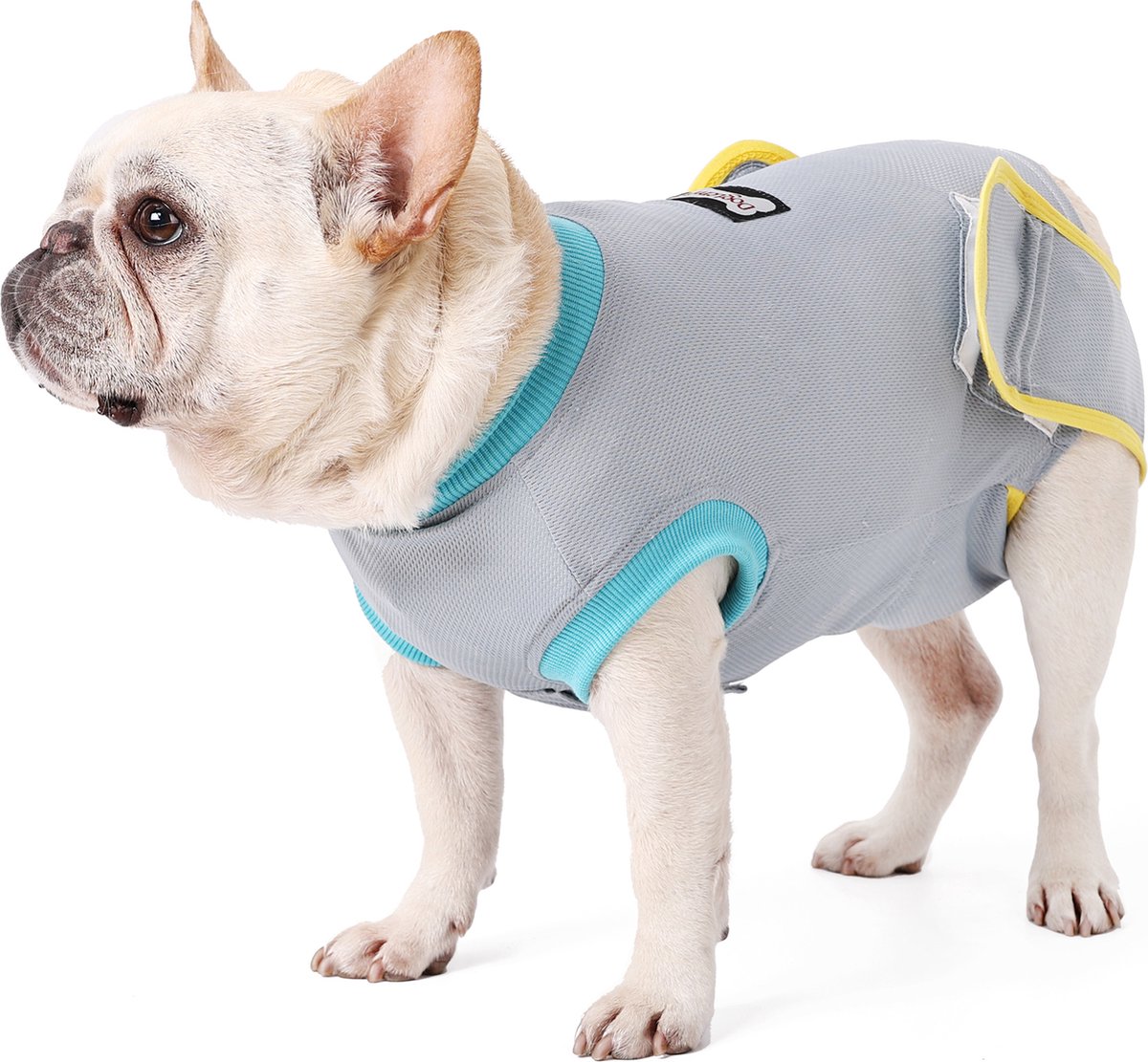 Herstelpak voor honden en katten na een operatie, professioneel Herstelpak voor honden en katten na een operatie, professioneel