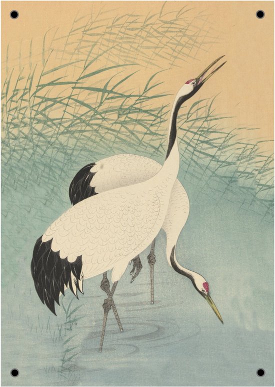 Tuinposter Kraanvogels - 59x84cm - Prachtige Eyecatcher voor Buiten - Geluksbrengend Symbool - Tuindecoratie | NUUW at home Collectie