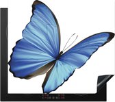 KitchenYeah® Inductie beschermer 59x52 cm - Een illustratie van een blauwe vlinder op een witte achtergrond - Kookplaataccessoires - Afdekplaat voor kookplaat - Inductiebeschermer - Inductiemat - Inductieplaat mat