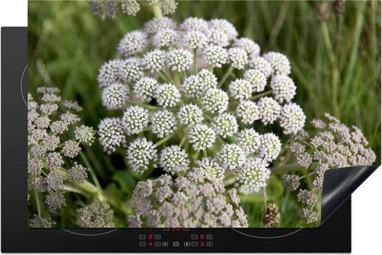 KitchenYeah® Inductie beschermer 81.6x52.7 cm - Natuurlijk habitat van de witte en groene anijs plant - Kookplaataccessoires - Afdekplaat voor kookplaat - Inductiebeschermer - Inductiemat - Inductieplaat mat