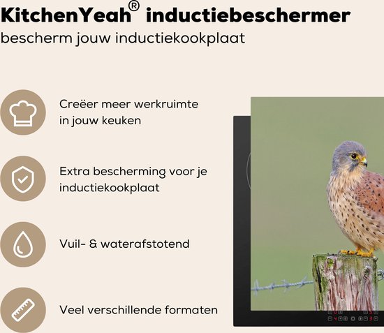 Een torenvalk zit op een houten paaltje met prikkeldraad. Beschermt inductiekookplaten.