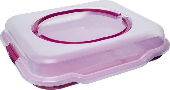 Rotho Cool & Fresh Feestbutler met koeling, kap en draaggreep, Kunststof (PP) BPA-vrij, transparant/wit, (43.5 x 29.5 x 11.0 cm