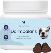 Probiotica Hond – Anti Jeuk Hond – Darmbalans – Probiotica voor honden – 100% Natuurlijk - Hondensnacks gedroogd – Anti Jeuk Hond – 60 chews