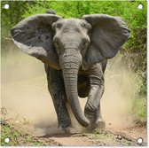 Tuinposters Rennende olifant - 50x50 cm - Tuindoek - Buitenposter
