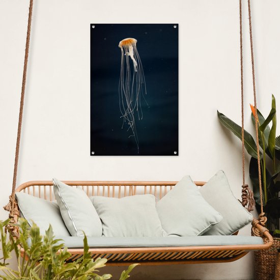 Méduse sur fond sombre affiche de jardin toile en vrac 60x90 cm - Toile de jardin / Toile d'extérieur / Peintures pour l'extérieur (décoration de jardin)