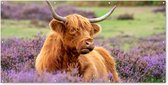 Schuttingposter Schotse hooglander - Bloemen - Licht - 200x100 cm - Tuindoek