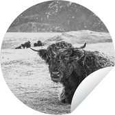 Tuincirkel Schotse Hooglander - Berg - Dieren - 60x60 cm - Ronde Tuinposter - Buiten