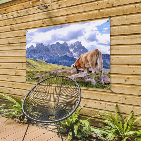Een bruine koe in een berglandschap met poster.