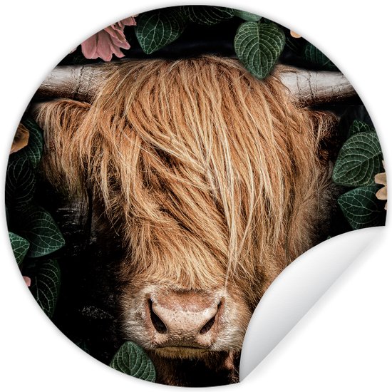 Highlander (Schotse hooglander) muurcirkel