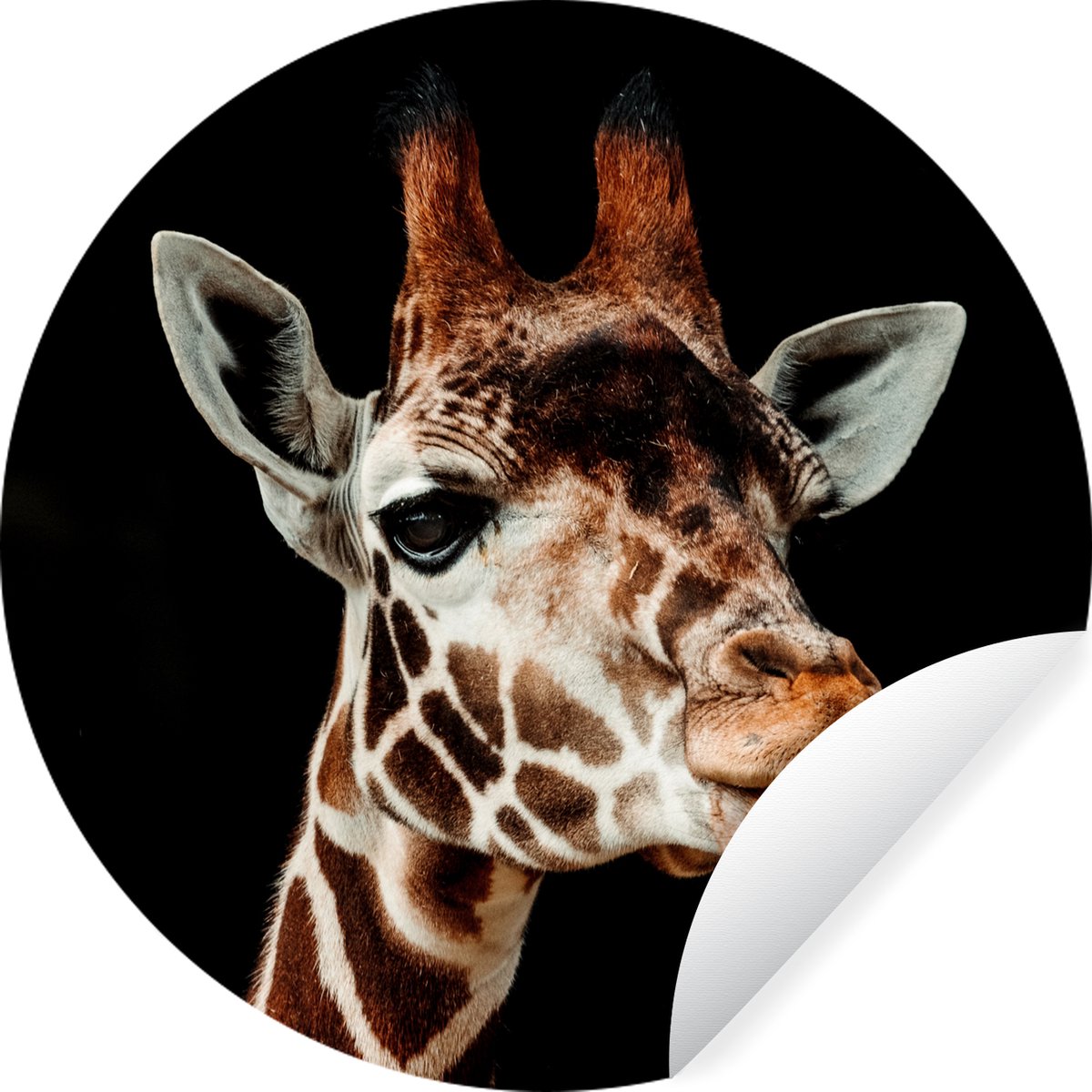 WallCircle - Muurstickers - Behangcirkel - Giraffe - Dieren - Zwart - ⌀ 120 cm - Muurcirkel - Zelfklevend - Ronde Behangsticker XXL
