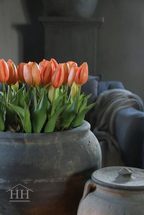 Kunst tulpen | in potje | zalm | 5 stelen | kunstbloemen | real touch tulpen | kunstboeket | nep tulpen
