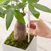 Compteur d'eau pour chaque type de plant et de sol - blanc - taille S - indique quand il est temps d'arroser - humidimètre - plante d'intérieur