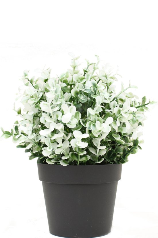 Plante artificielle Buxus blanc en pot 19 cm UV (pour intérieur et extérieur)