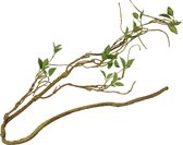 Terra Della - Terrariumplant - Reptielen - Plantentak Dun 130cm Groen - 1st