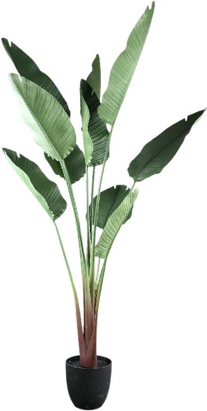 PTMD Kunstplant Reizigers Palm - 95x95x185 cm - Plastic - Groen