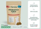 Hondensnoepjes-anti jeuk-pootjes likken-smaak proefzakje-probiotica forte-jeuk bij honden-30stuks