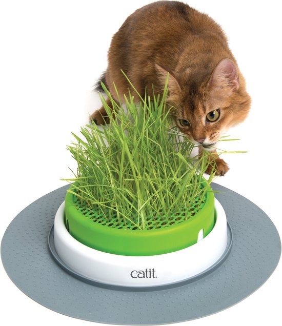 Cat-It Senses 2.0 Grass Planter - Kattengras