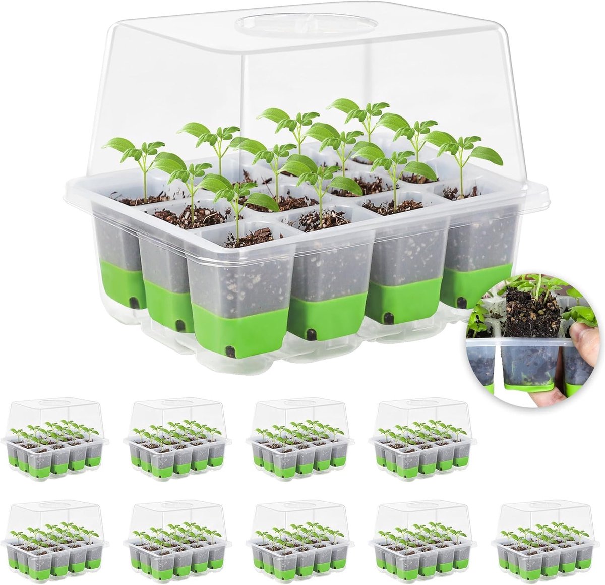 Kamerbroeikas kweekbak herbruikbare kweekplaat 10 stuks 120 cellen mini-broeikas kleine kweekset met verhoogd deksel planten kweek voor zaailingen groen