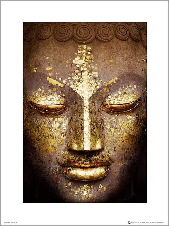 GBeye Poster - Buddha - 50 X 40 Cm - Multicolor