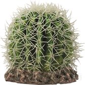 Hobby Terrano Cactus - Sonora