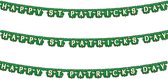 St. Patricks Day feestslinger - 3x - 205 x 11 cm - groen - van papierÂ