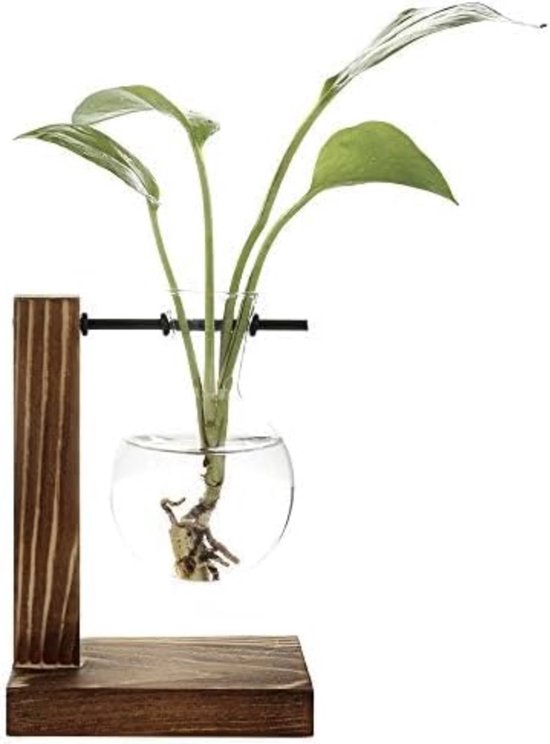 Vases pour plantes hydroponiques Pot de fleur Vintage Vase transparent Cadre en bois Plantes de table en Verres Accueil Bonsaï Decor Livraison directe (A - 1 Ball Vase)