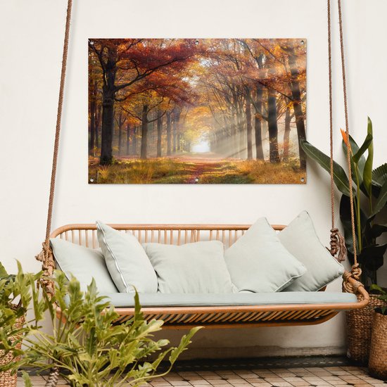 Affiche de jardin Automne - Forêt - Arbre - 120x80 cm - Jardin