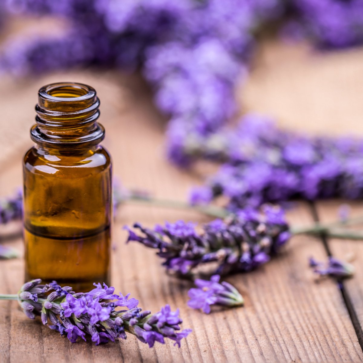 Goedkoopste Lavendel, etherische olie, Airdancer, 5ml
