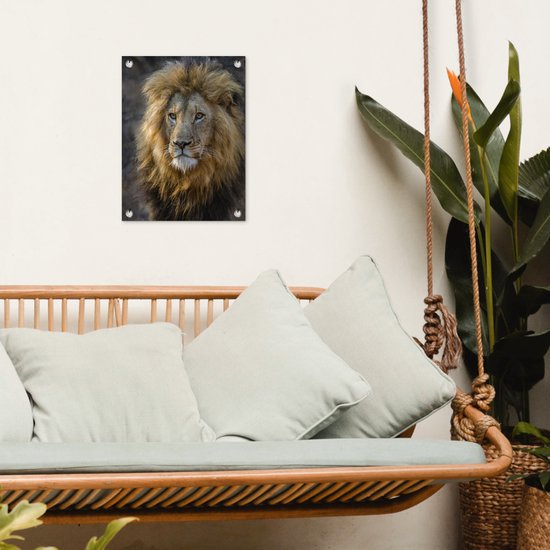Décoration de Jardin Lion - Portrait - Sauvage - 30x40 cm - Toile de jardin