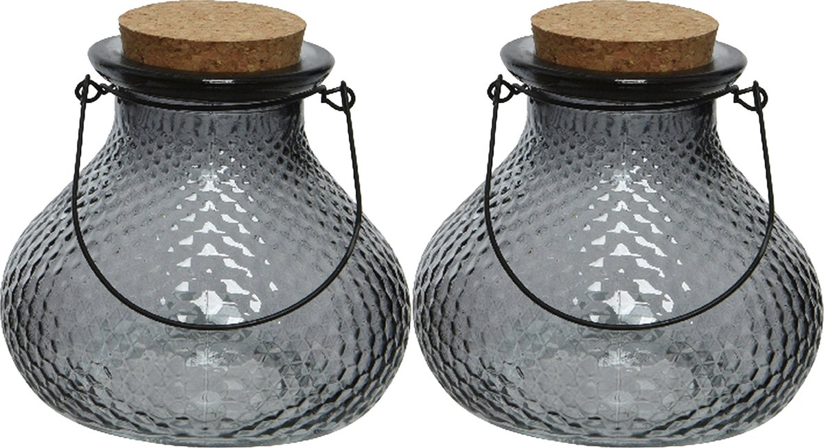 Decoris wespenvanger/wespenval - set 2x - glas - grijs - D14 x H13 cm