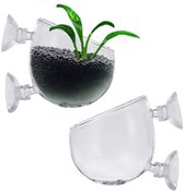 2 stuks aquarium plantenhouders, aquarium plantenhouder met zuignap, aquarium planten live crystal glass cup, voor aquarium