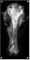Tuinposter Portretfoto koe op zwarte achtergrond in zwart-wit - 40x80 cm - Wanddecoratie Buiten - Tuinposter - Tuindoek - Schuttingposter - Tuinschilderij