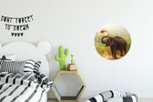 Wall Circle - Wall Circle Indoor - Éléphant de Nettoyage - 30x30 cm - Décoration murale - Peintures Ronds