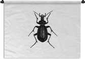 Wandkleed - Wanddoek - Zwart wit - Kever - Vintage - Insecten - 120x90 cm - Wandtapijt