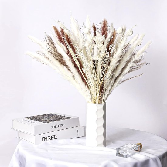 Decoratie van gedroogde bloemen - 60 stuks Pampas Grass White - Gedroogde bloemen pluizige bladeren voor decoratie Boho, slaapkamerdecoratie, kamerdecoratie, bruiloft